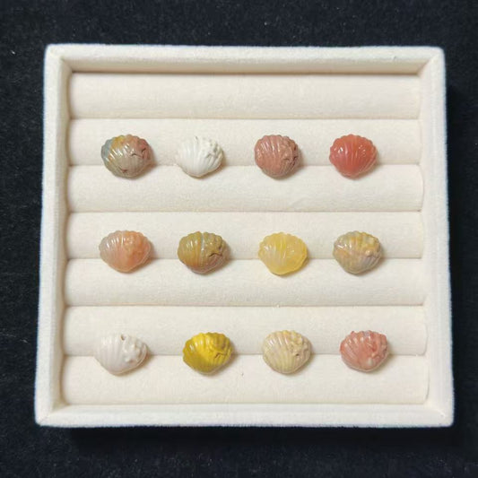 SHELL Alashan Agate Bead Charms | Natural Stone Beads, Mixed Colors & Styles | DIY Jewelry Supplies