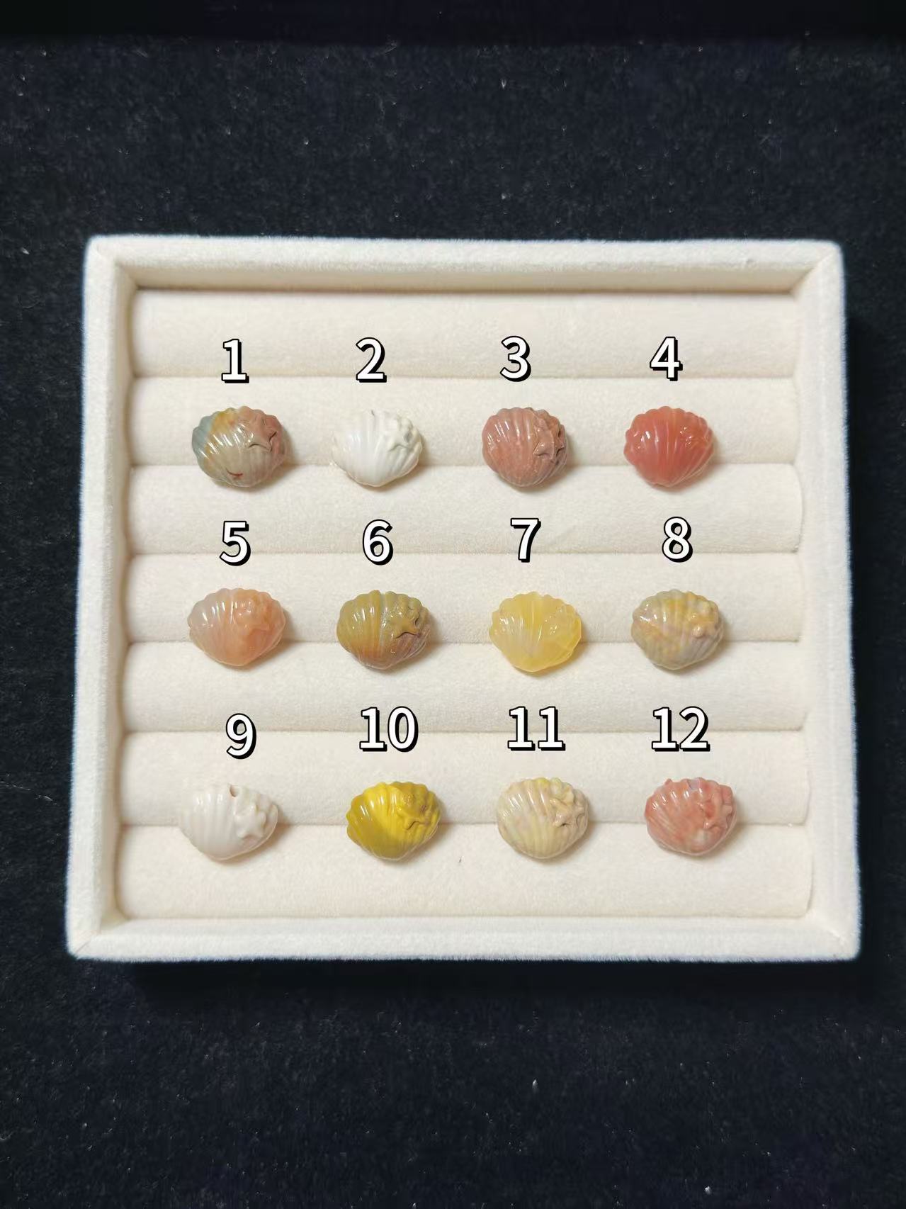 SHELL Alashan Agate Bead Charms | Natural Stone Beads, Mixed Colors & Styles | DIY Jewelry Supplies