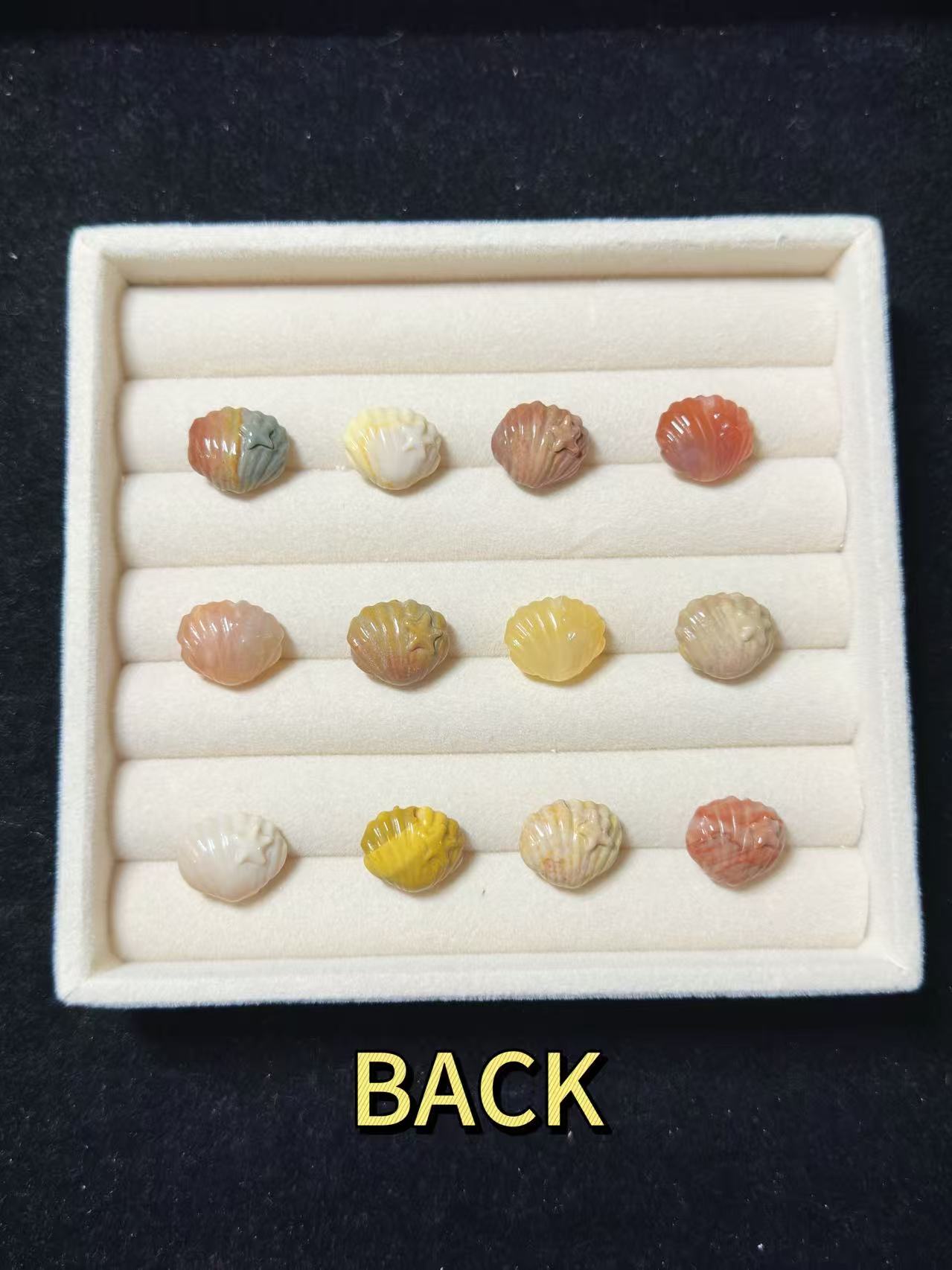 SHELL Alashan Agate Bead Charms | Natural Stone Beads, Mixed Colors & Styles | DIY Jewelry Supplies