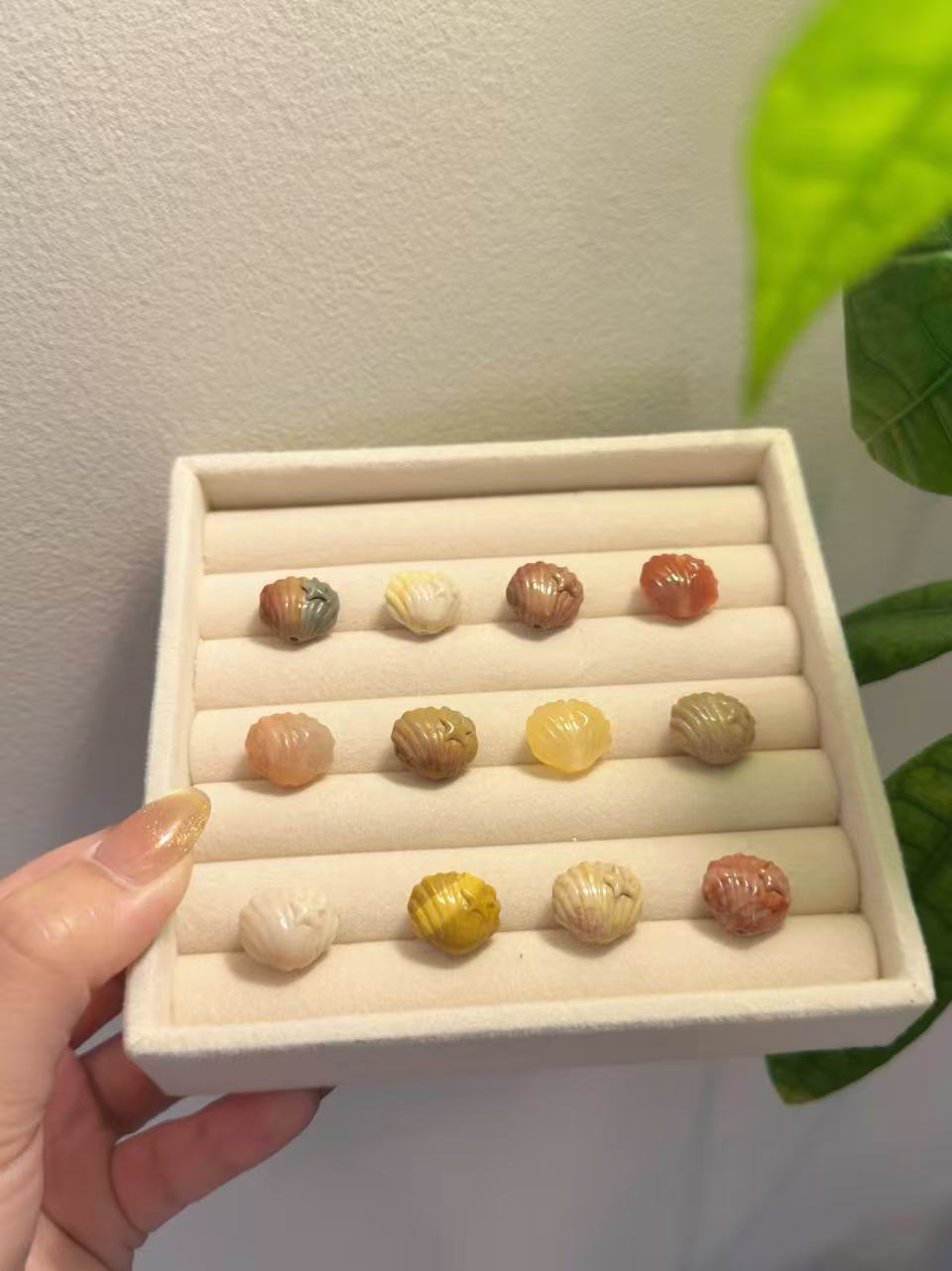 SHELL Alashan Agate Bead Charms | Natural Stone Beads, Mixed Colors & Styles | DIY Jewelry Supplies